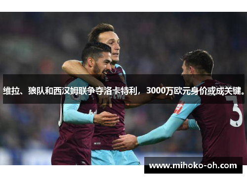 维拉、狼队和西汉姆联争夺洛卡特利，3000万欧元身价或成关键。